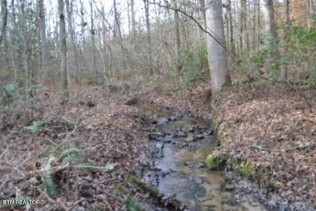 Lot 4 Shotgun Annie Rd, Jamestown, TN 38556 - #2