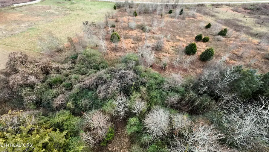 107 Roaming Fawn Drive, Rockwood, TN 37854 - #3