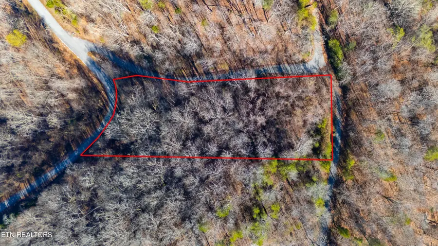 919 Sparrow Way, Sharps Chapel, TN 37866 - #3