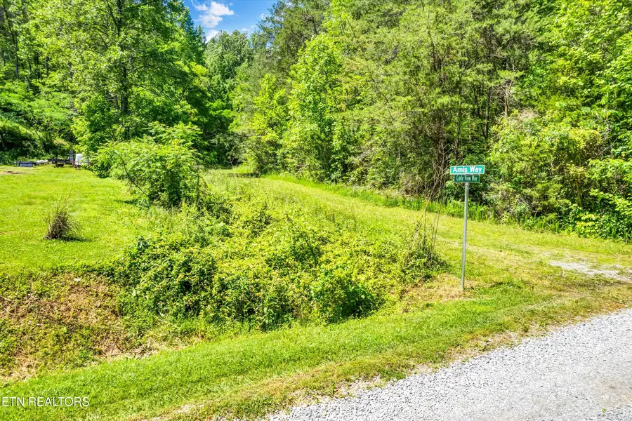 Amis Way, Sevierville, TN 37876 - #2