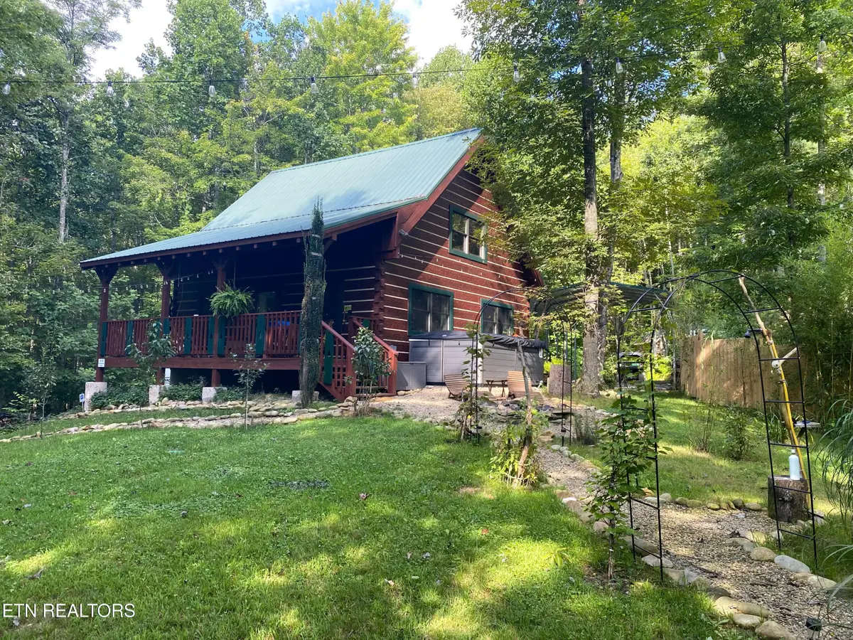 5150 Raven Branch Rd, Del Rio, TN 37727 - #1