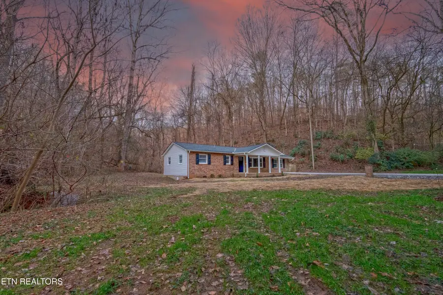 9003 Tedford Lane, Knoxville, TN 37922 - #3