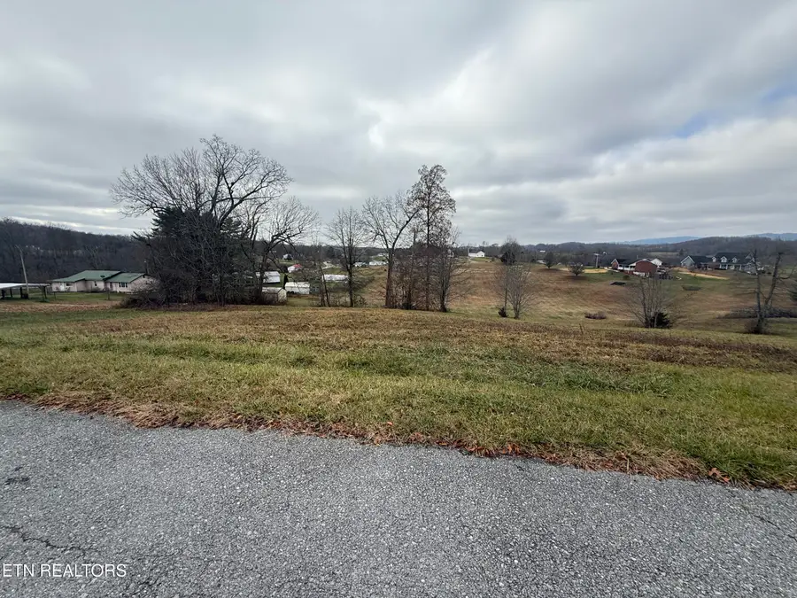Lot #20 Oak Point Drive, Jonesville, VA 24263 - #3