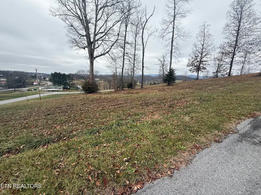 Lot #21 Oak Point Drive, Jonesville, VA 24263 - #3