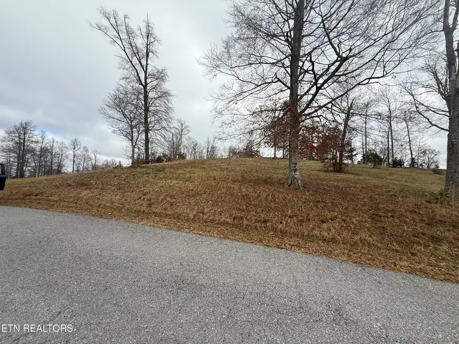 Lot #30 Oak Point Drive, Jonesville, VA 24263 - #3