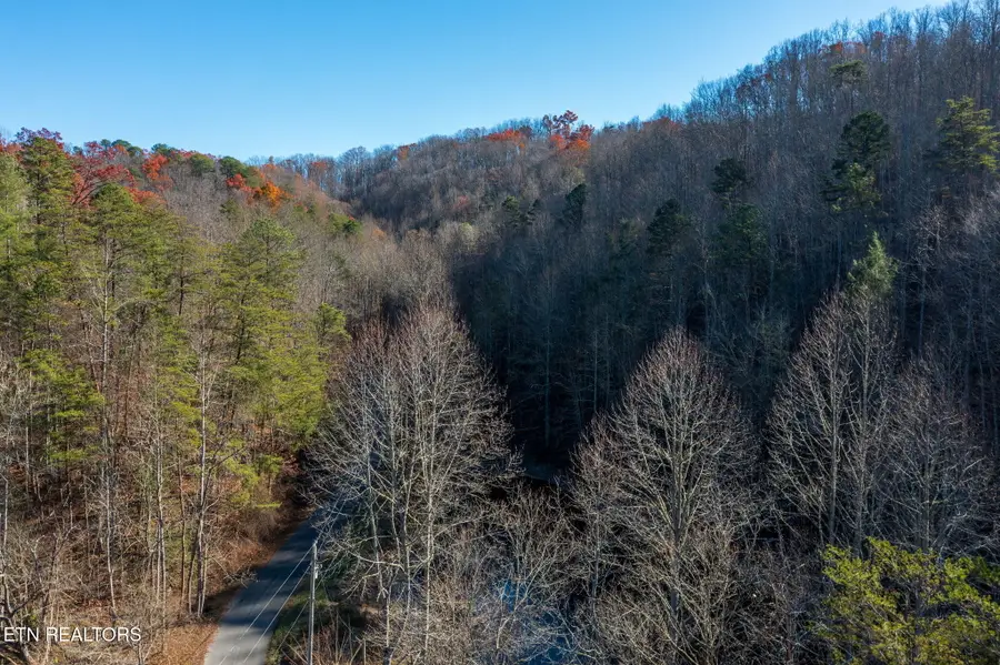 Lot 24 Lakeshore Ave, Sevierville, TN 37876 - #3
