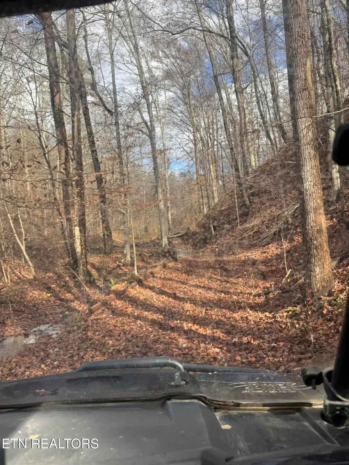 Mt Olive Rd Rd, Andersonville, TN 37705 - #1