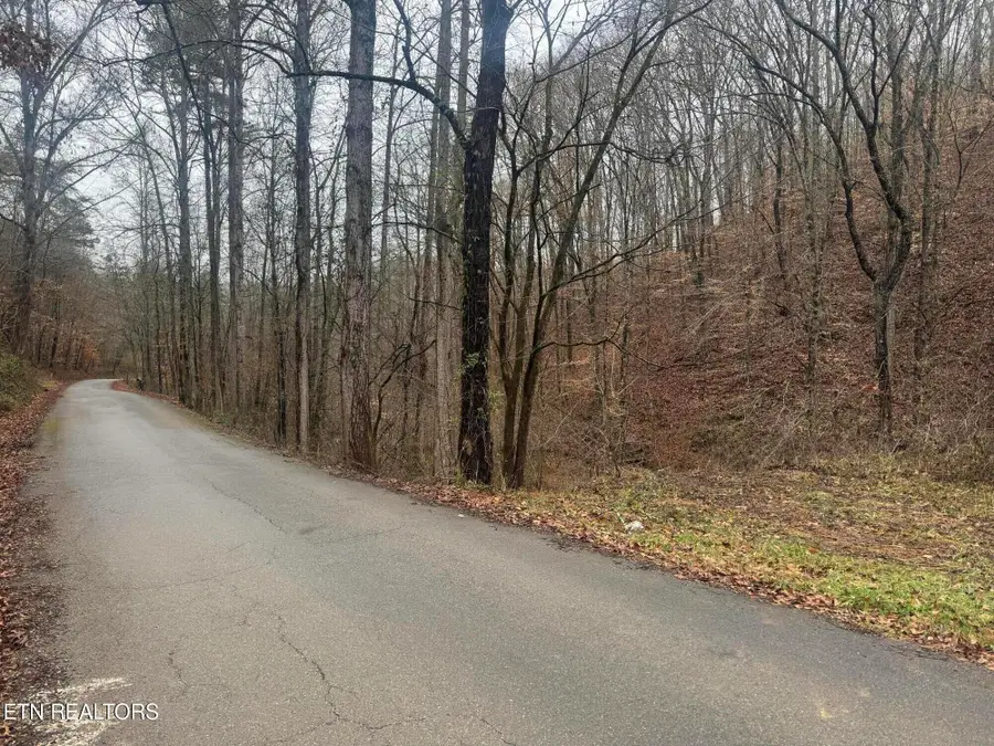 Mt Olive Rd Rd, Andersonville, TN 37705 - #2