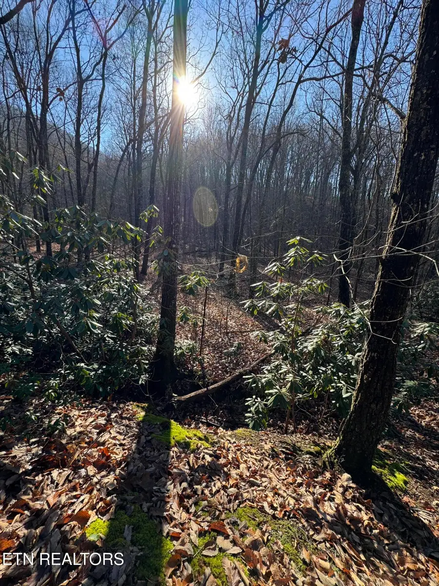 3766 Eagle Ridge Rd, Maryville, TN 37803 - #3