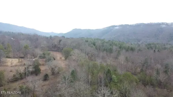 83.8 acres E Millers Cove Rd, Walland, TN 37886
