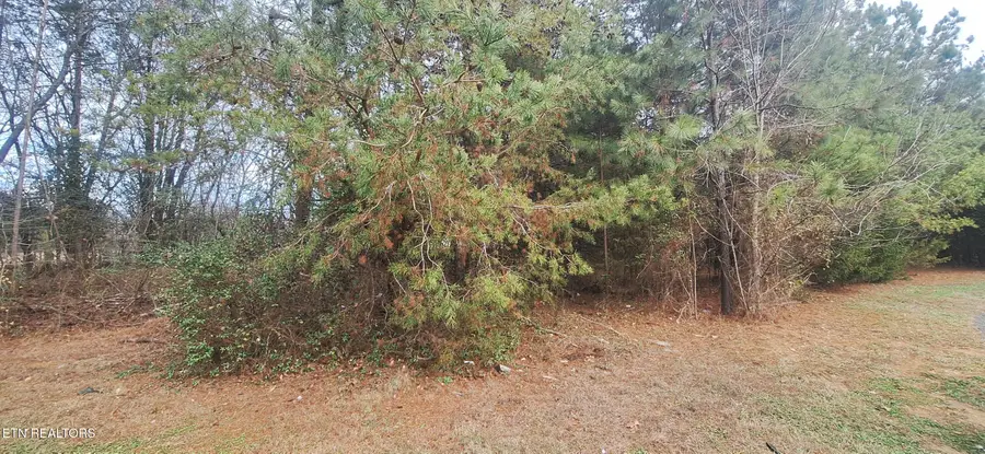 Raintree Lane, Kingston, TN 37763 - #2