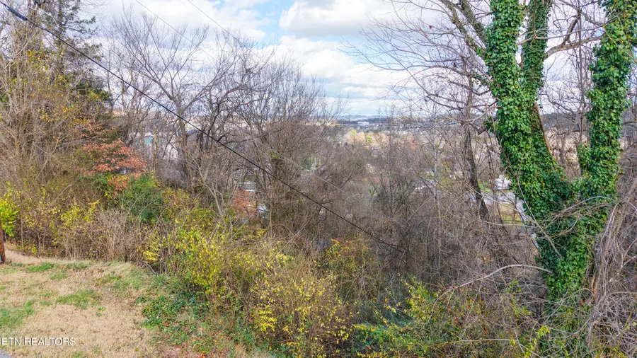 Lot 25 Scenic Loop Rd, Pigeon Forge, TN 37863 - #2