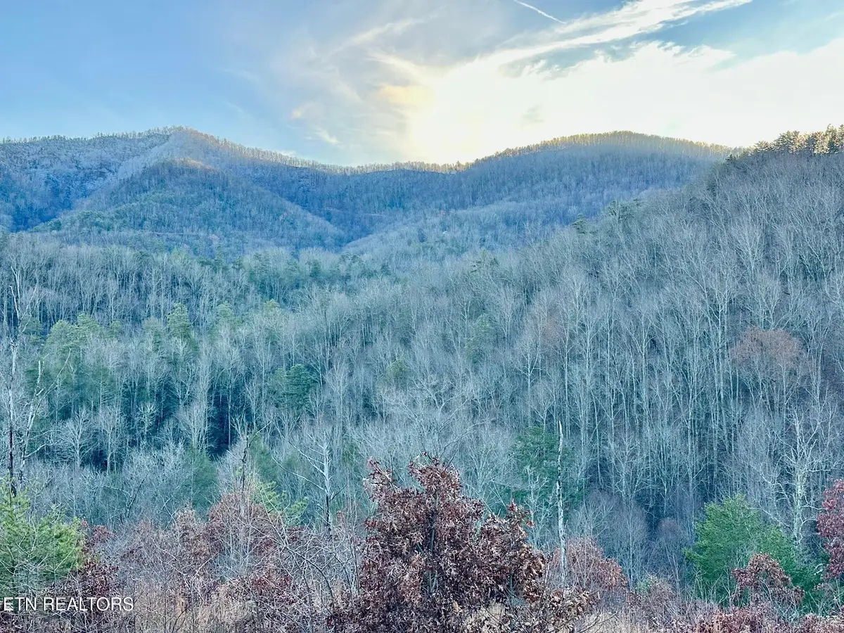 1611 Mountain Dreams Way, Pigeon Forge, TN 37862 - #1