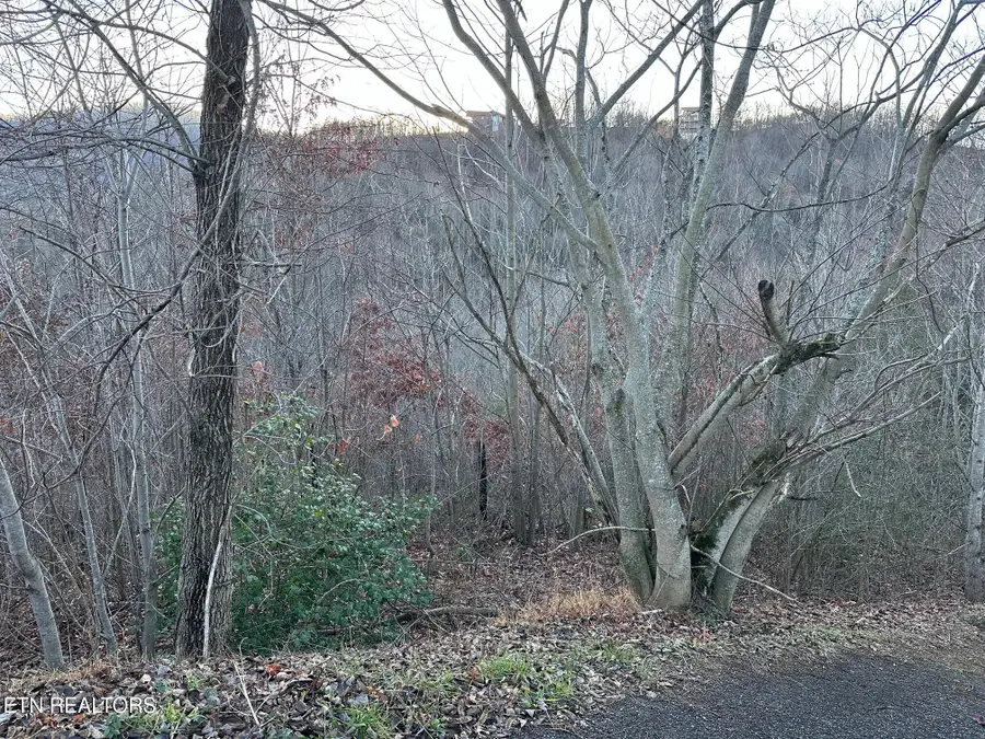 1611 Mountain Dreams Way, Pigeon Forge, TN 37862 - #3