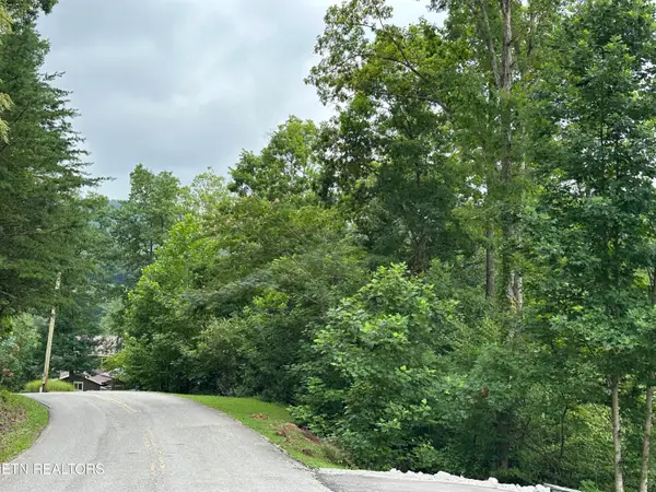 lot 21 Ridge Rd, Caryville, TN 37714