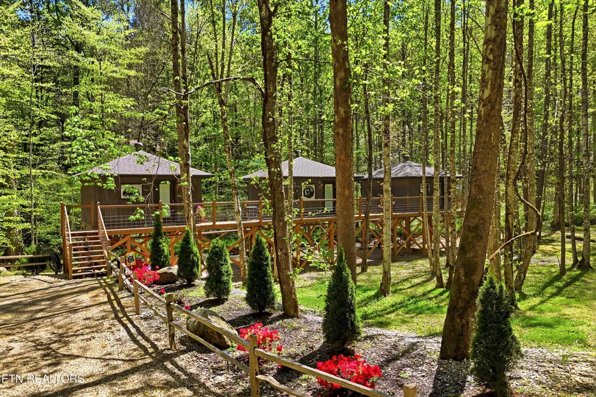 750 Caney Creek Rd, Cosby, TN 37722 - #1