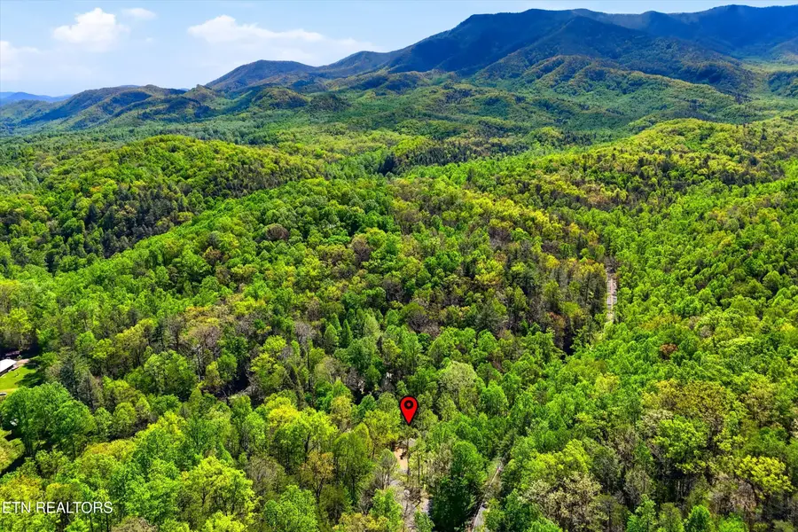 750 Caney Creek Rd, Cosby, TN 37722 - #2