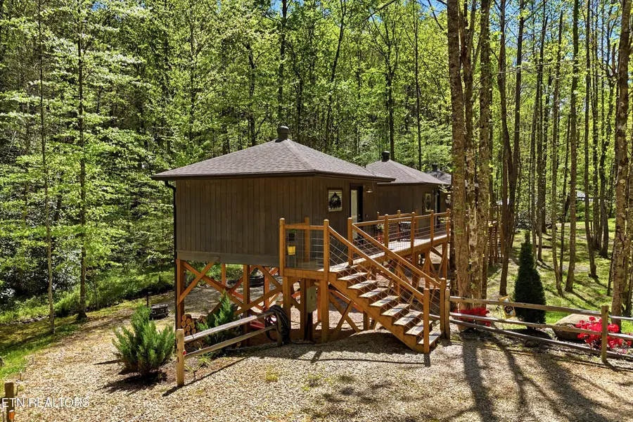 750 Caney Creek Rd, Cosby, TN 37722 - #3