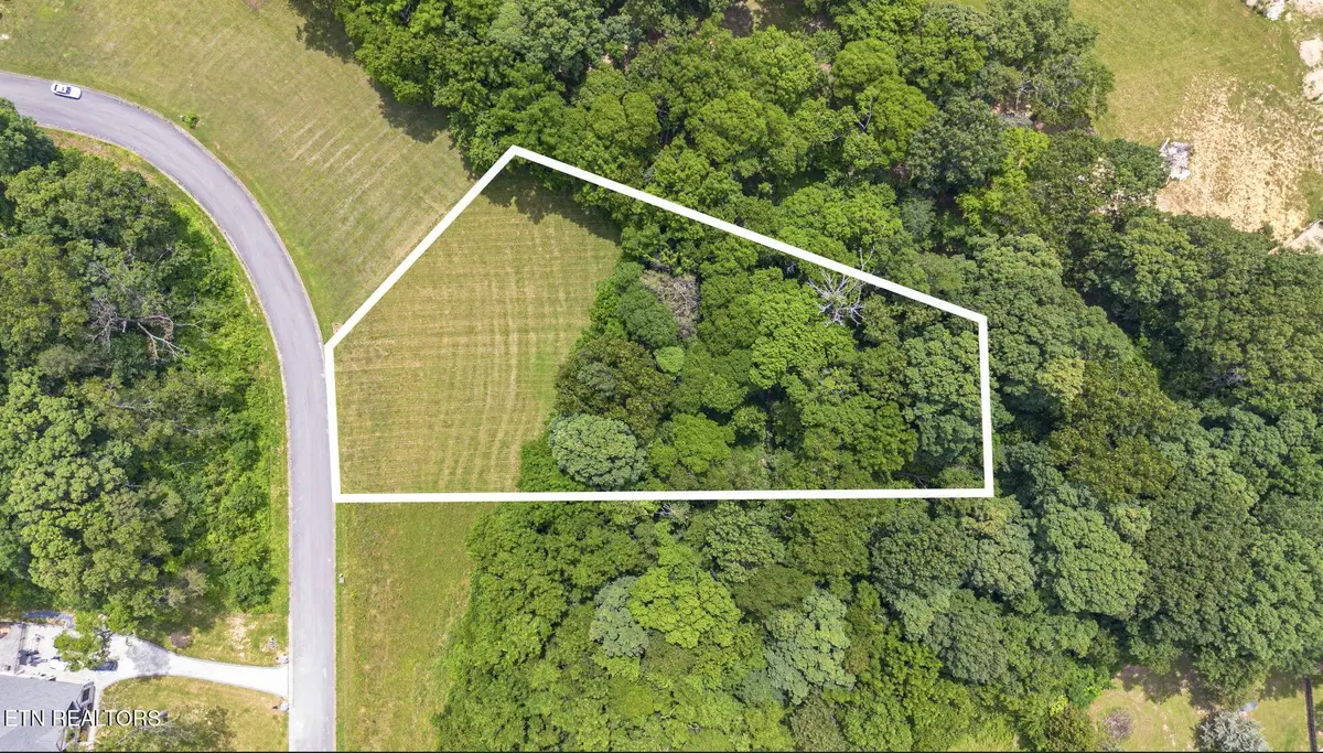 Lot 20 Meadowcrest Lane, Dandridge, TN 37725 - #1