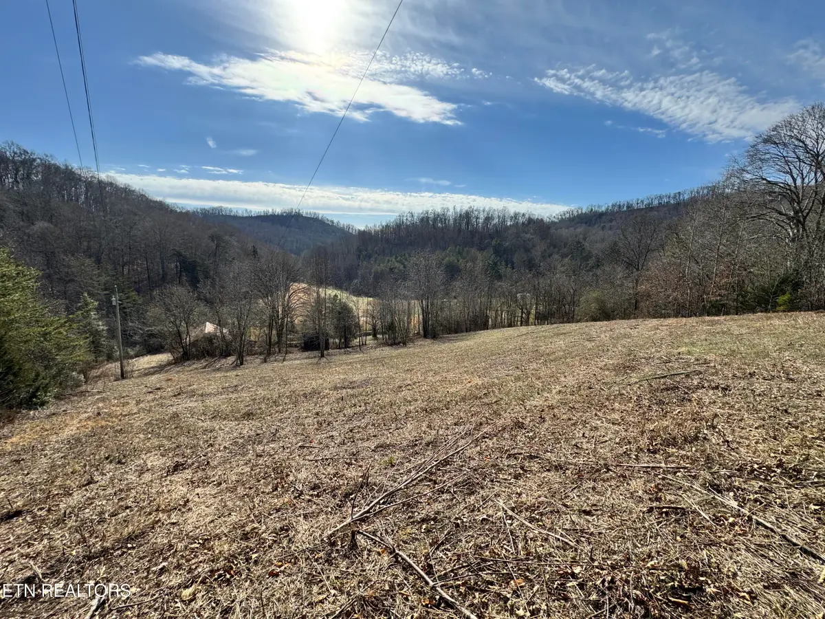 1135 Ned Clark Rd, Bean Station, TN 37708 - #1