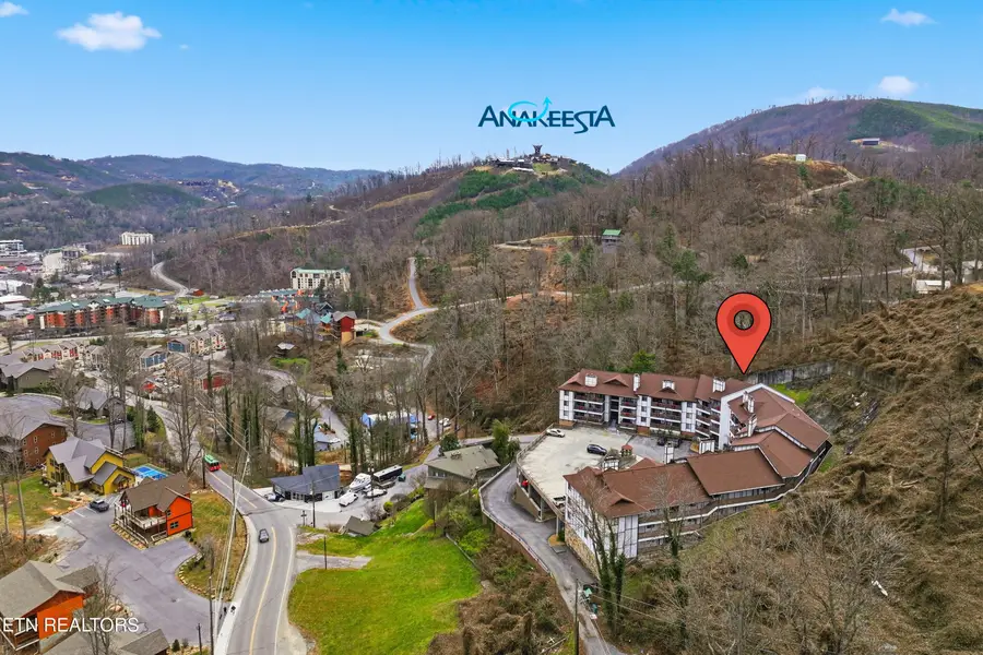 616 Turkey Nest Rd #209, Gatlinburg, TN 37738 - #3