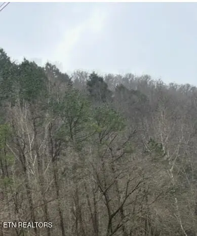 TBD Hwy 38, Lejunior, KY 40849 - #1