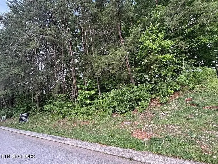 1012 Saint Johns Drive, Maryville, TN 37801 - #1