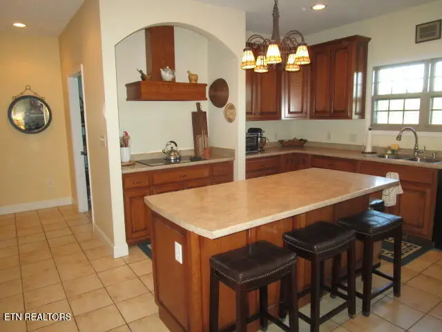 430 Basswood Lane, Kodak, TN 37764 - #3