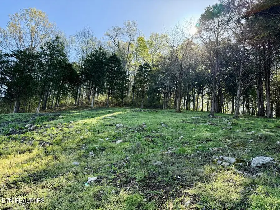 Harbor Pointe Drive, Silver Point, TN 38582 - #2