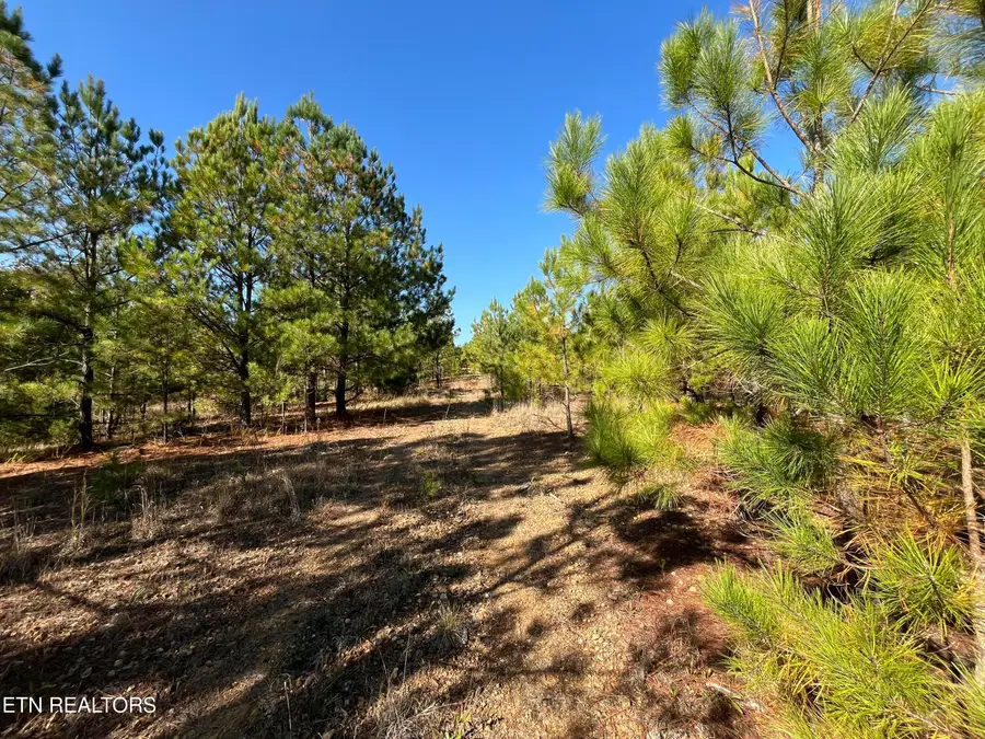 Simmons Branch Road Rd, Centerville, TN 37033 - #3