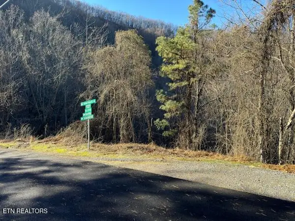 n/a Balsam Slopes Rd, Sevierville, TN 37862