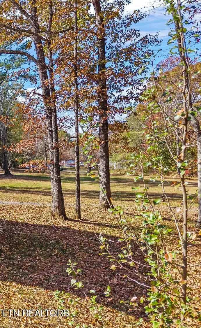 232 Sweeney Rd, Benton, TN 37307 - #3