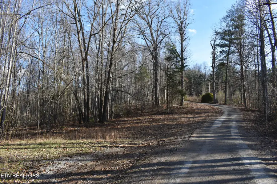 Lot 54 Bark Lane, Speedwell, TN 37870 - #2