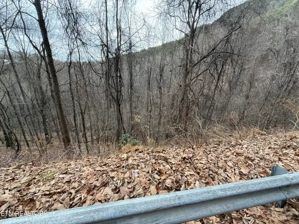 Lot 34 Alpine Drive, Sevierville, TN 37876