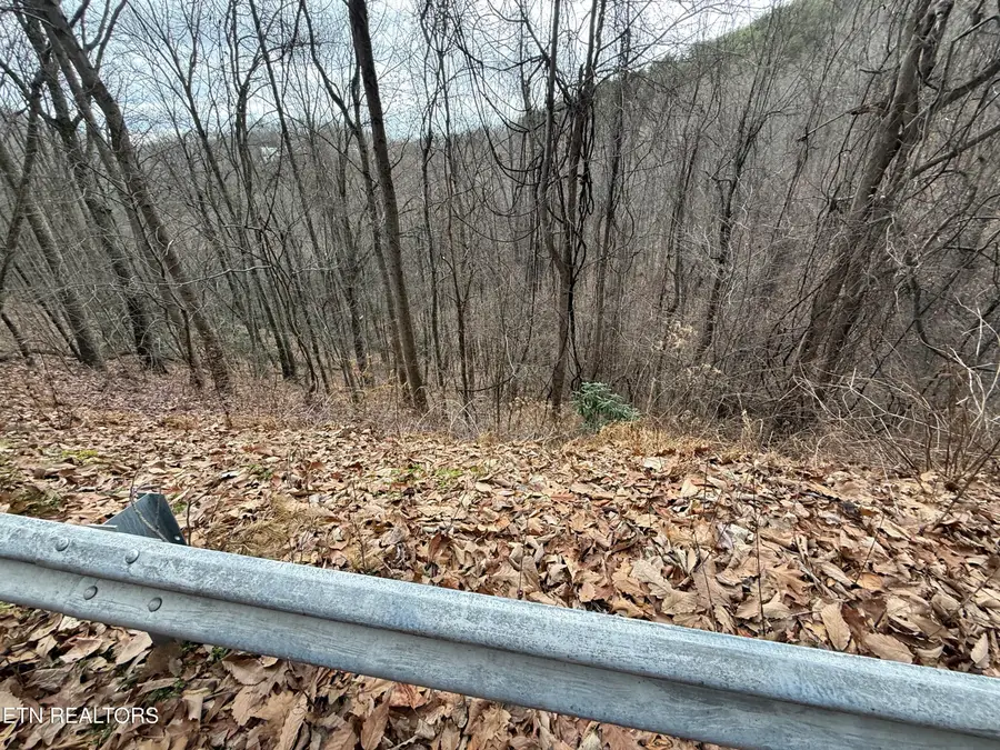 Lot 34 Alpine Drive, Sevierville, TN 37876 - #2