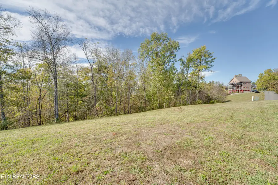Ivy Way, Newport, TN 37821 - #3