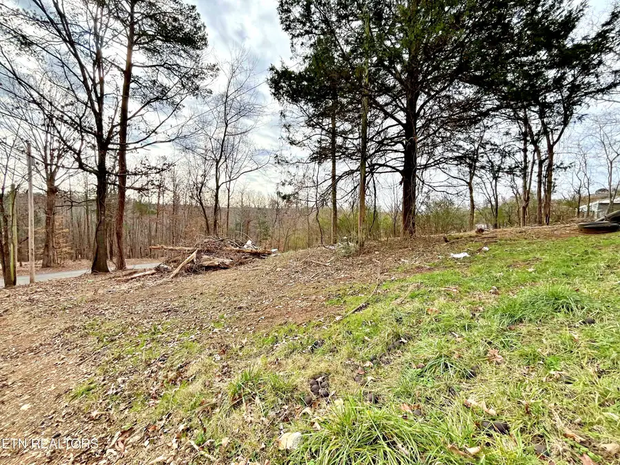 110 Pinecrest Drive, Loudon, TN 37774 - #3