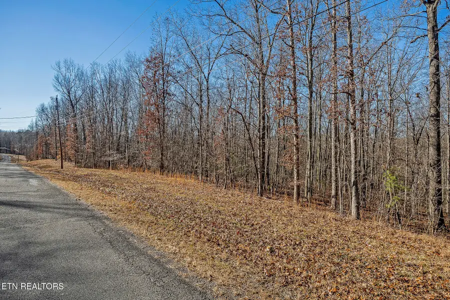4 Acres E Overlook Rd, Monterey, TN 38574 - #3