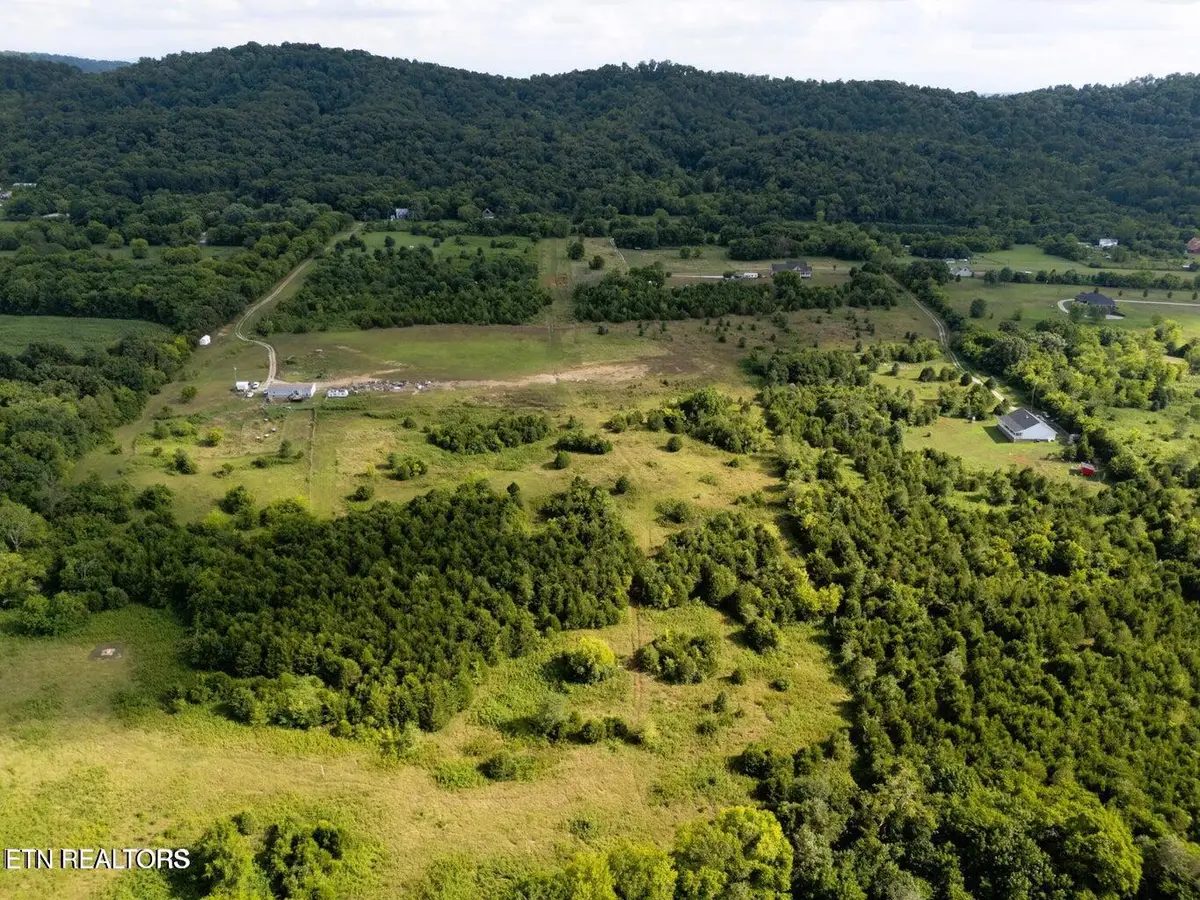 1106 Hinchey Hollow Rd, New Market, TN 37820 - #1