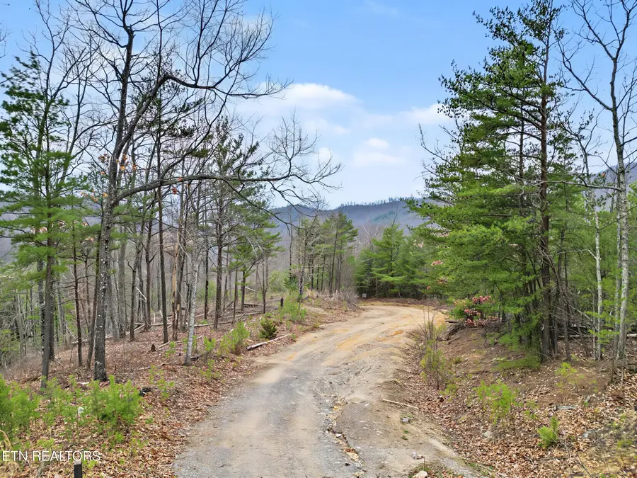 Lot 2 John Sevier Drive, Sevierville, TN 37862 - #2