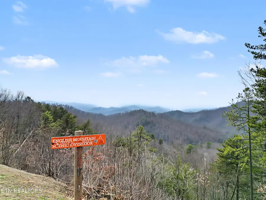 Lot 76 Leatherwood Drive, Sevierville, TN 37876 - #3