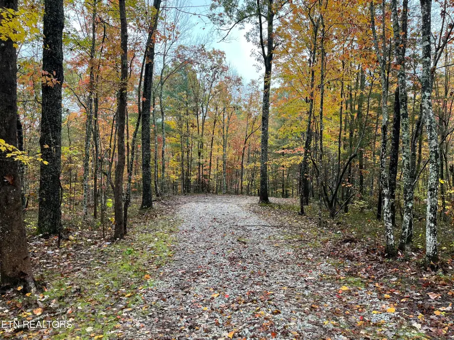 000 W Wilderness Tr, Oneida, TN 37841 - #2