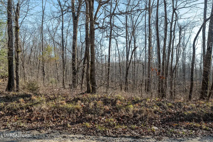 Valley View Rd, Crossville, TN 38572 - #3