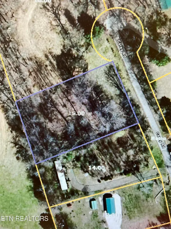 Carey Rd, Speedwell, TN 37870