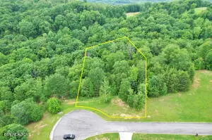 370 River Run Tr, Spring City, TN 37381 - #3