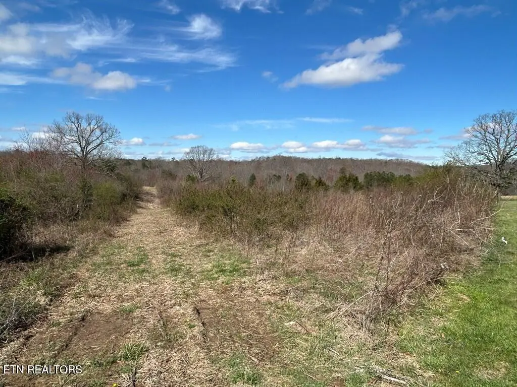 Holt Spur Drive, Jamestown, TN 38556 - #1