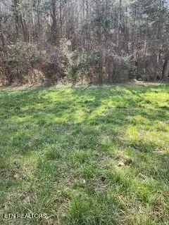 Little Elk Creek Rd, Pioneer, TN 37847 - #3