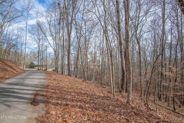 00 Sunset Court, Spring City, TN 37381