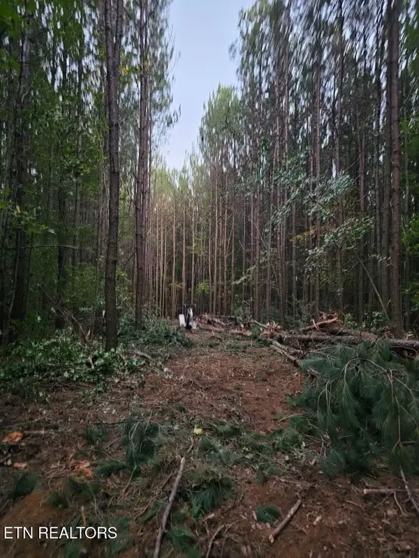 1050 Mt Vernal Rd, Rockwood, TN 37854