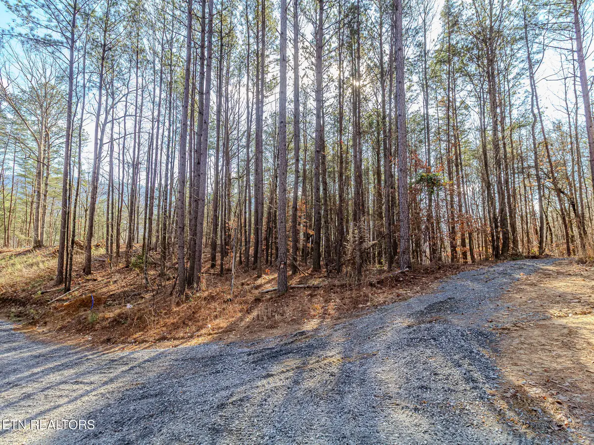 Lot 5 Parksville Road, Benton, TN 37307 - #1